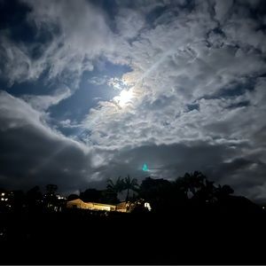 Meet your Posher, Kaylee